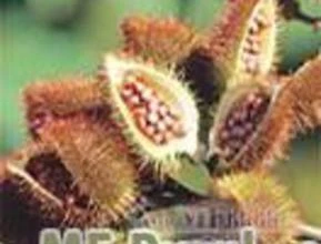 FARELO DE URUCUM