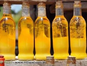 Manteiga de garrafa goiana
