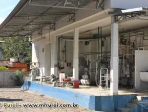 LATICÍNIO PARA ALUGAR