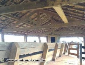 CURRAL DE 1600M2 EM IPÊ