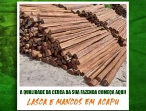 Madeira Lascas de Acapu