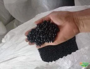 Vendo feijão preto.