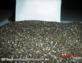 CHIA SALVA HISPANICA