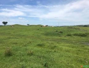 Fazenda em Pitanga -PR