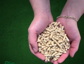 Pellets 100% Pinus