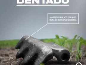 Martelo Dentado