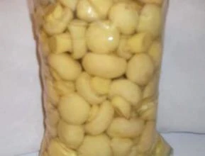 Cogumelo Champignon