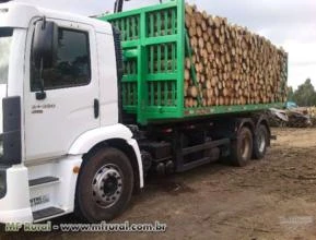 Plataforma Rool On / Rool Of