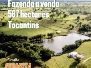 Fazenda à Venda em Tocantins - 567 hectares
