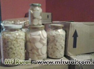 Palmito Pupunha e Palmeira Real - Direto da Fábrica