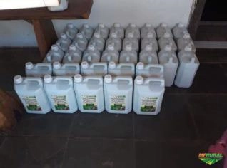 Extrato Pirolenhoso Biolenhoso para Agricultura Sustentável