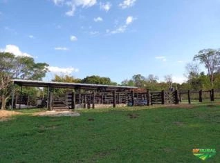 Fazenda 218ha em Uberaba - MG, BR050