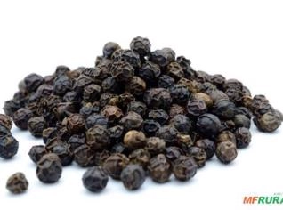Pimenta do Reino Preta B1 - Qualidade Exportação