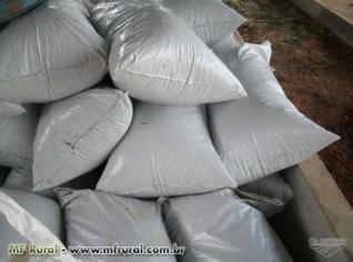 Silagem de Milho Embalada Hermeticamente - 40kg