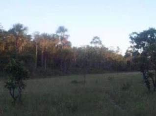 Fazenda em Arinos - MG com 110 hectares férteis para plantio e pecuária