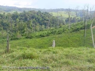 Fazenda de 2700 hectares em Uruará - PA, formada em pastagem braquiarão