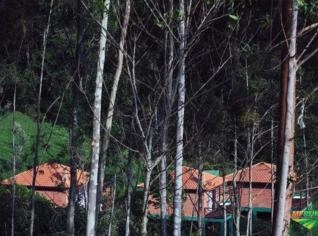 Fazenda no Sul de Minas com Reflorestamento e Cachoeira