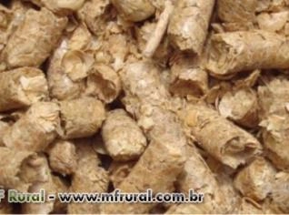 Farelo de Soja e Aveia para Nutrição Animal