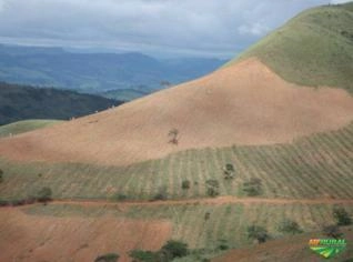Fazenda de 100 ha em Piumhi-MG, ótima localização