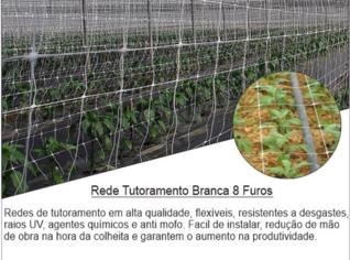 Rede de Tutoramento Branca 1,20x1000 - 8 Furos