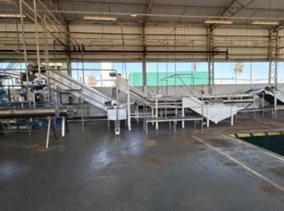 Polpa de Frutas Asséptica - Processamento 4 Ton/h em SP
