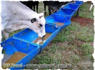 Cocho e Bebedouro de Polietileno Resistente para Bovinos e Equinos