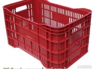 Caixa Plástica Vazada para Hortigranjeiros e Frutas