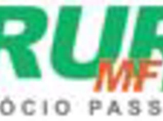 Desmama Fêmea Angus F1 - 11 Meses, 225kg