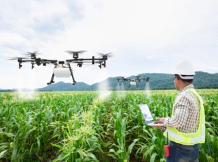 Pulverização de Precisão com Drones Agrícolas