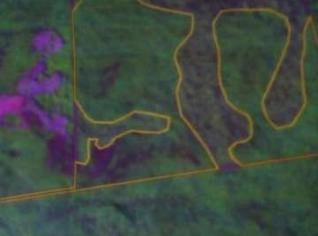 Fazenda à venda em Juara - 749 Ha 100% mecanizável