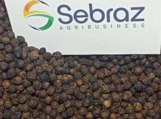 Pimenta do Reino à venda - 5.000kg