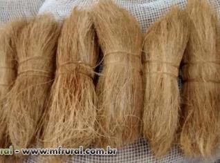 Fibra de Coco Longa 25-30cm para Escovas e Vassouras