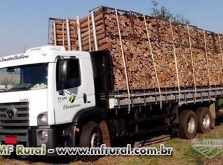 Lenha de Acácia e Eucalipto Seca - Entrega em Esteio RS