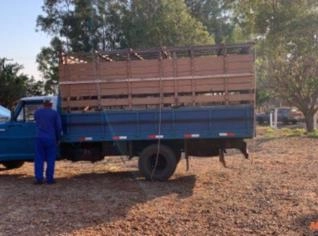 Gaiola para Carroceria F4000 com Duas Divisórias