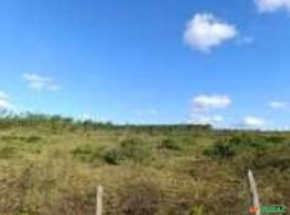 Sítio à Venda - 66ha em Itapicuru/BA