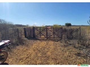 Sítio 60 ha - Dormentes/PE