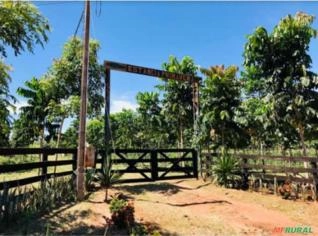 Chácara 04ha à venda em Rosana - SP