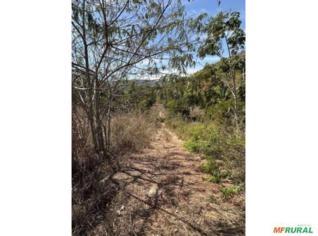 Fazenda 145ha em Minaçu/GO - Oportunidade única