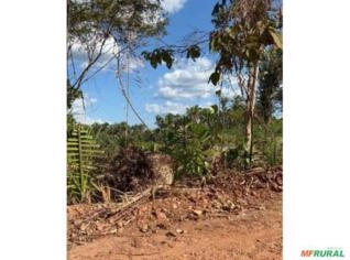 Fazenda 946ha em Timbiras/MA