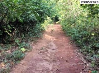 Fazenda 237ha em Minaçu/GO - Oportunidade Imperdível