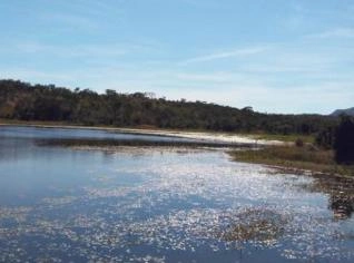 Parceria para Pecuária com Áreas em Monte Alegre - GO