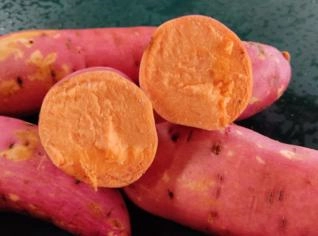 Batata Doce Beauregard e Rosada Lavada - Pronta para Consumo