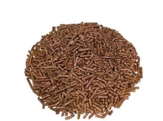Pellet de Pinus para queima