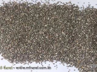 Sementes de Chia Preta Saudáveis e Nutritivas – 1kg