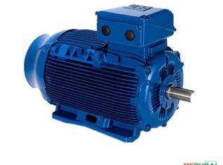 Motor Elétrico Weg Plus - Alto Desempenho
