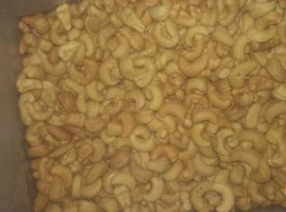 Castanha de Caju Direto da Fábrica no Ceará