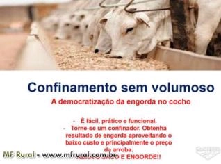 Ração Sem Volumoso para Confinamento