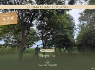 Sibipiruna em Promoção - Cesário Lange