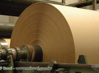 Papel Semi Kraft para Cama de Aviário - Bobinas