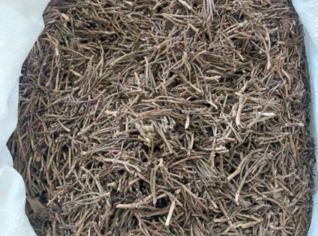 Talo de Cravo Natural - Umidade < 11,9% - Nilo Peçanha